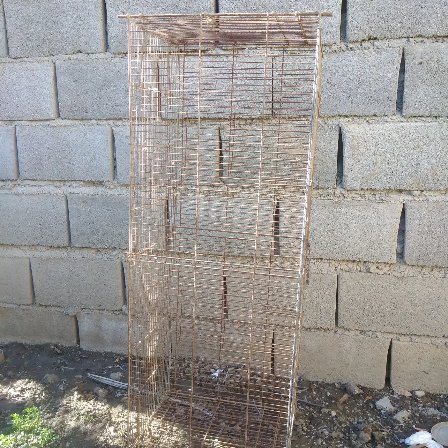 فقس60در40|لوازم جانبی حیوانات|گنبد کاووس, |دیوار