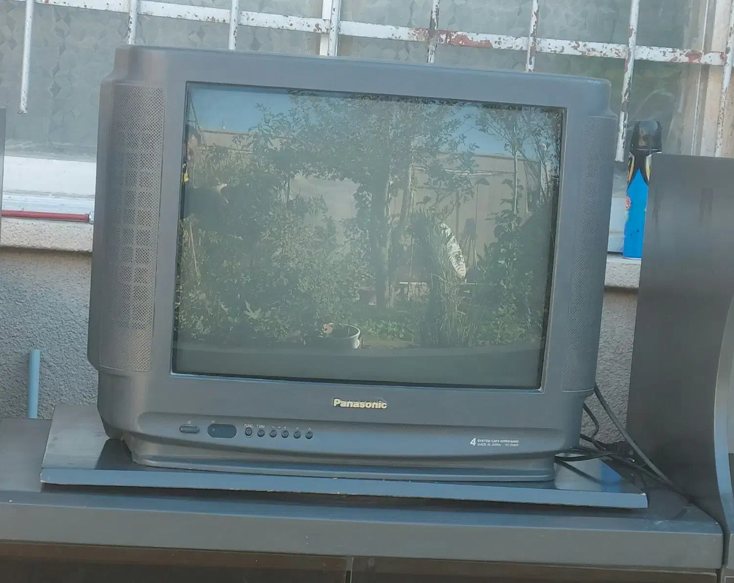 تلویزیون|تلویزیون و پروژکتور|زابل, |دیوار