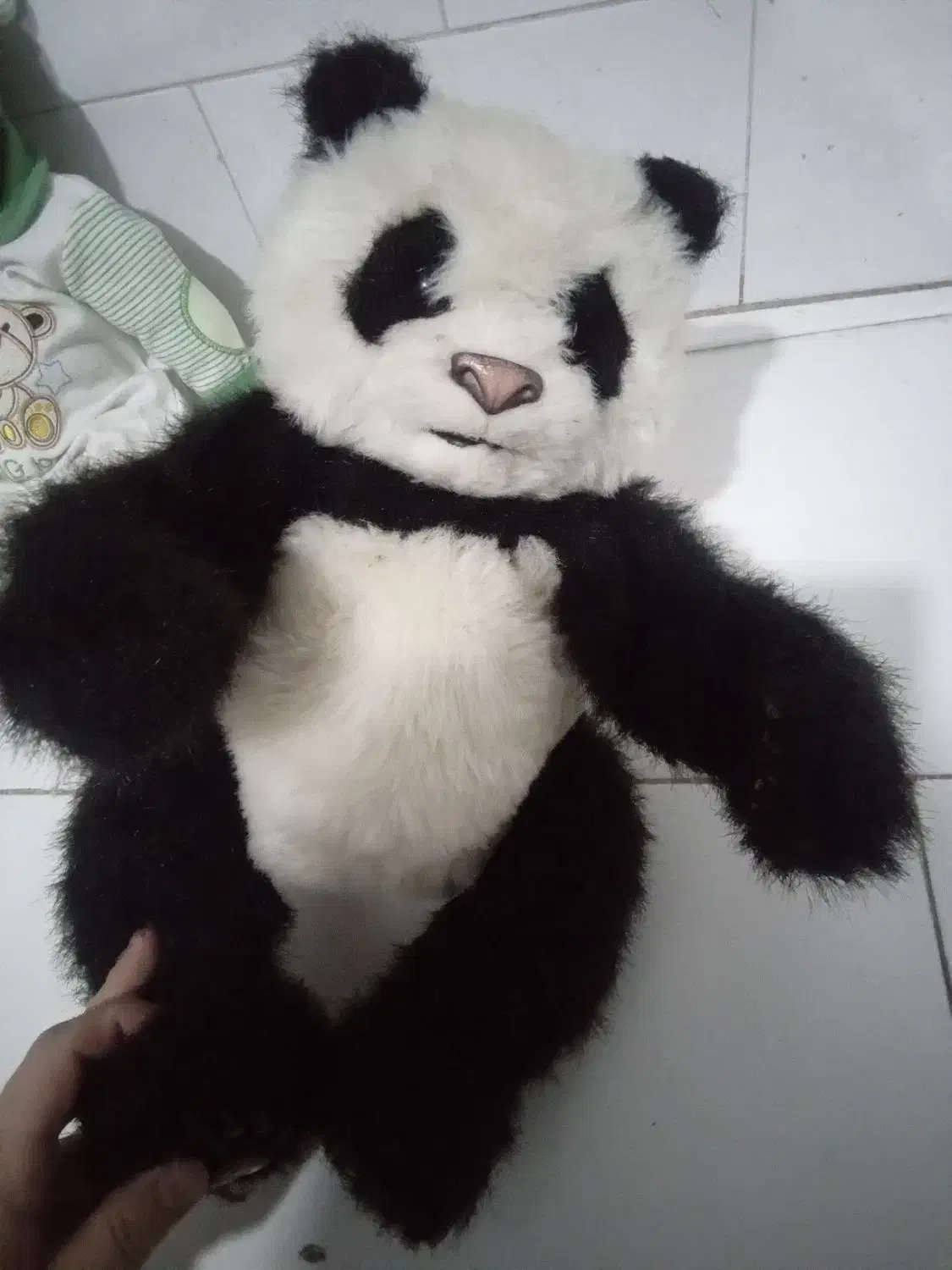 عروسک و خرس های کودک|اسباب‌بازی بچه|تبریز, |دیوار