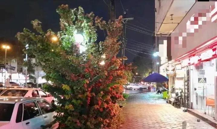 معرفی مغازه در اطراف میدان لاکانی با امتیازات کامل|اجارهٔ مغازه و غرفه|رشت, پارک شهر|دیوار