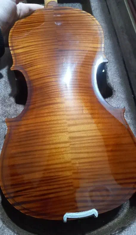 ویولن|ویولن|کرج, رجبآباد|دیوار