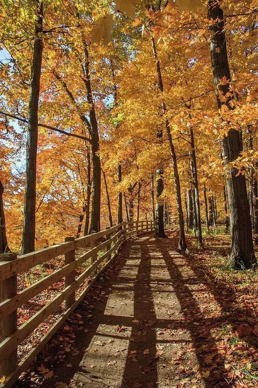 نیاز به معلم خصوصی|خدمات آموزشی|گنبد کاووس, |دیوار