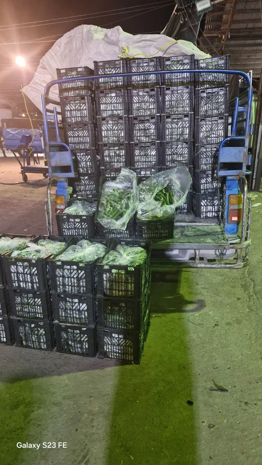 گارگر ساده برای تخلیه بار میدان بارفروش|استخدام خدمات فروشگاه و رستوران|کرمان, |دیوار