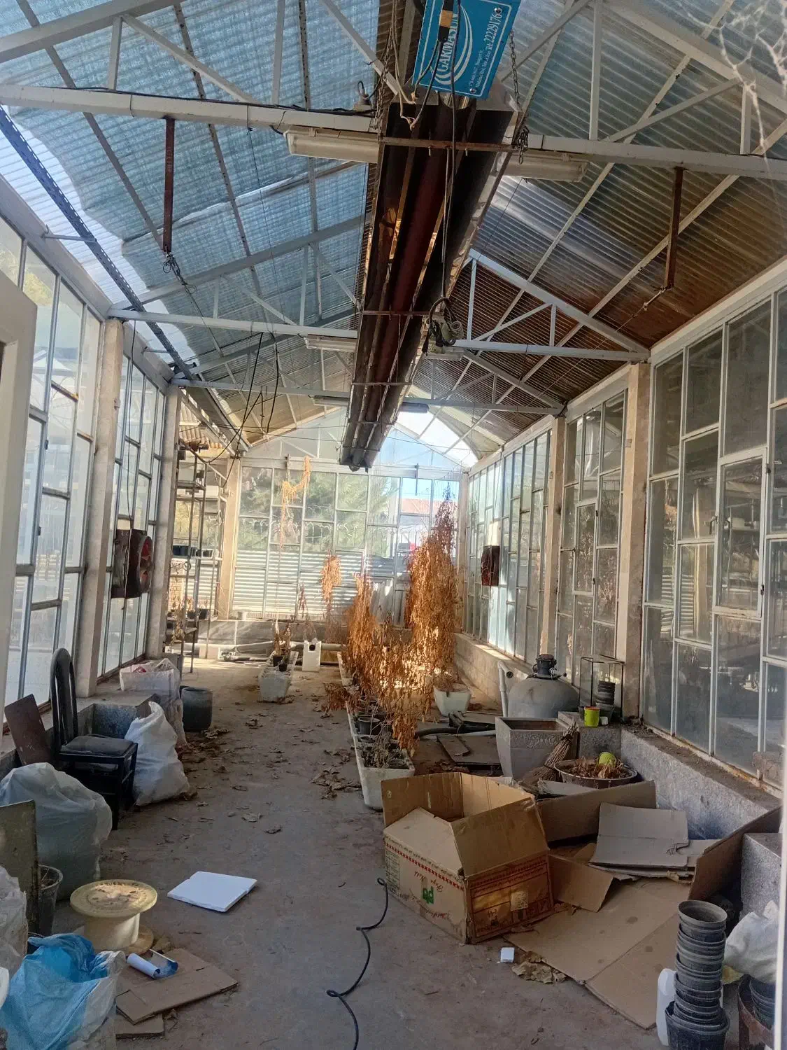 گلخانه پیشرفته|فروش دفتر صنعتی، کشاورزی، تجاری|فریمان, |دیوار