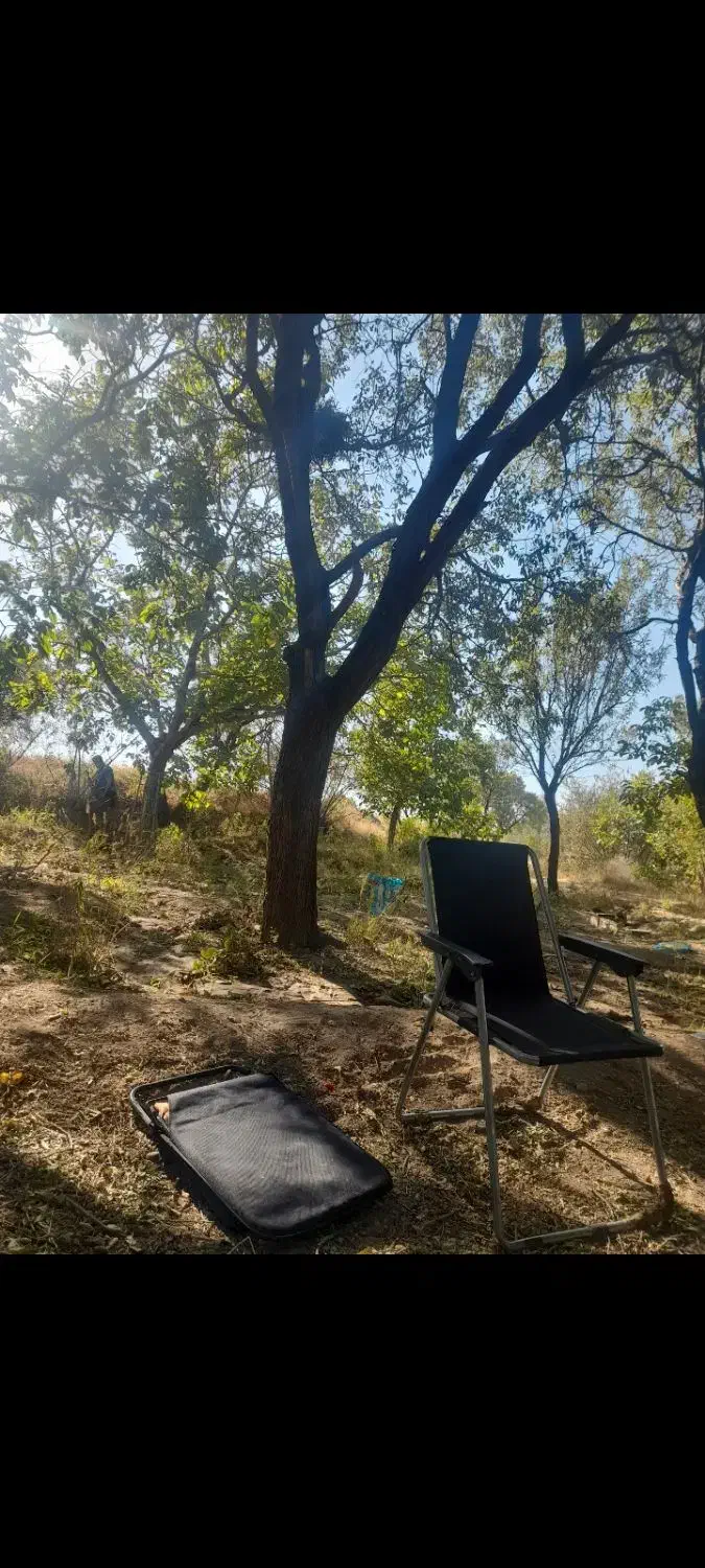 باغ گردو بادام|فروش دفتر صنعتی، کشاورزی، تجاری|نوبران, |دیوار