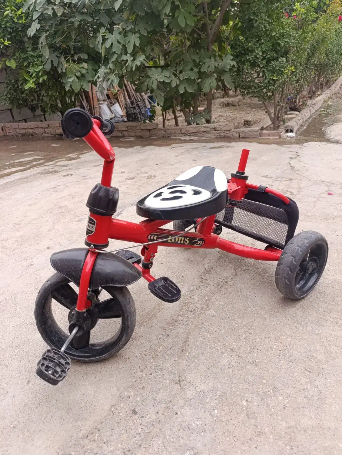 فروشی سه چرخه|دوچرخه، اسکیت، اسکوتر|گنبد کاووس, |دیوار