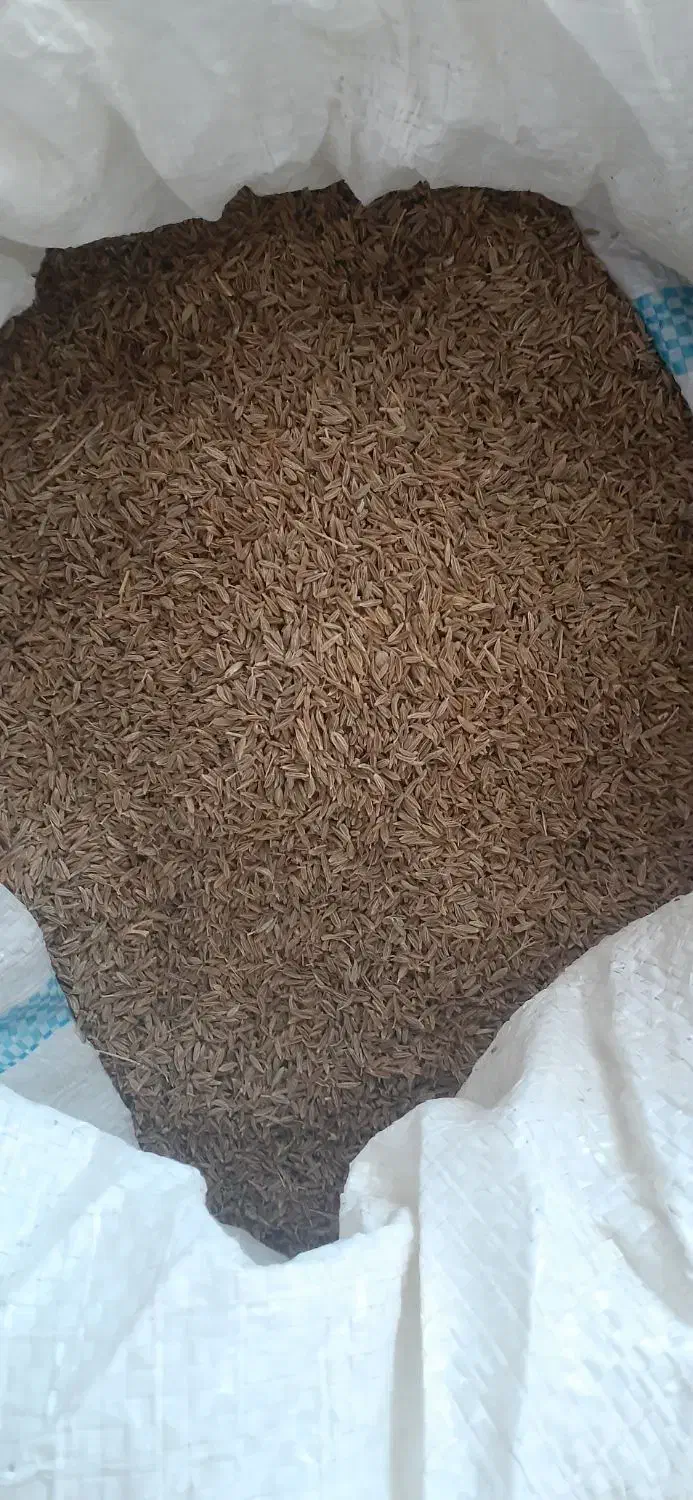 زیره بذری|عمده‌فروشی|گنبد کاووس, |دیوار