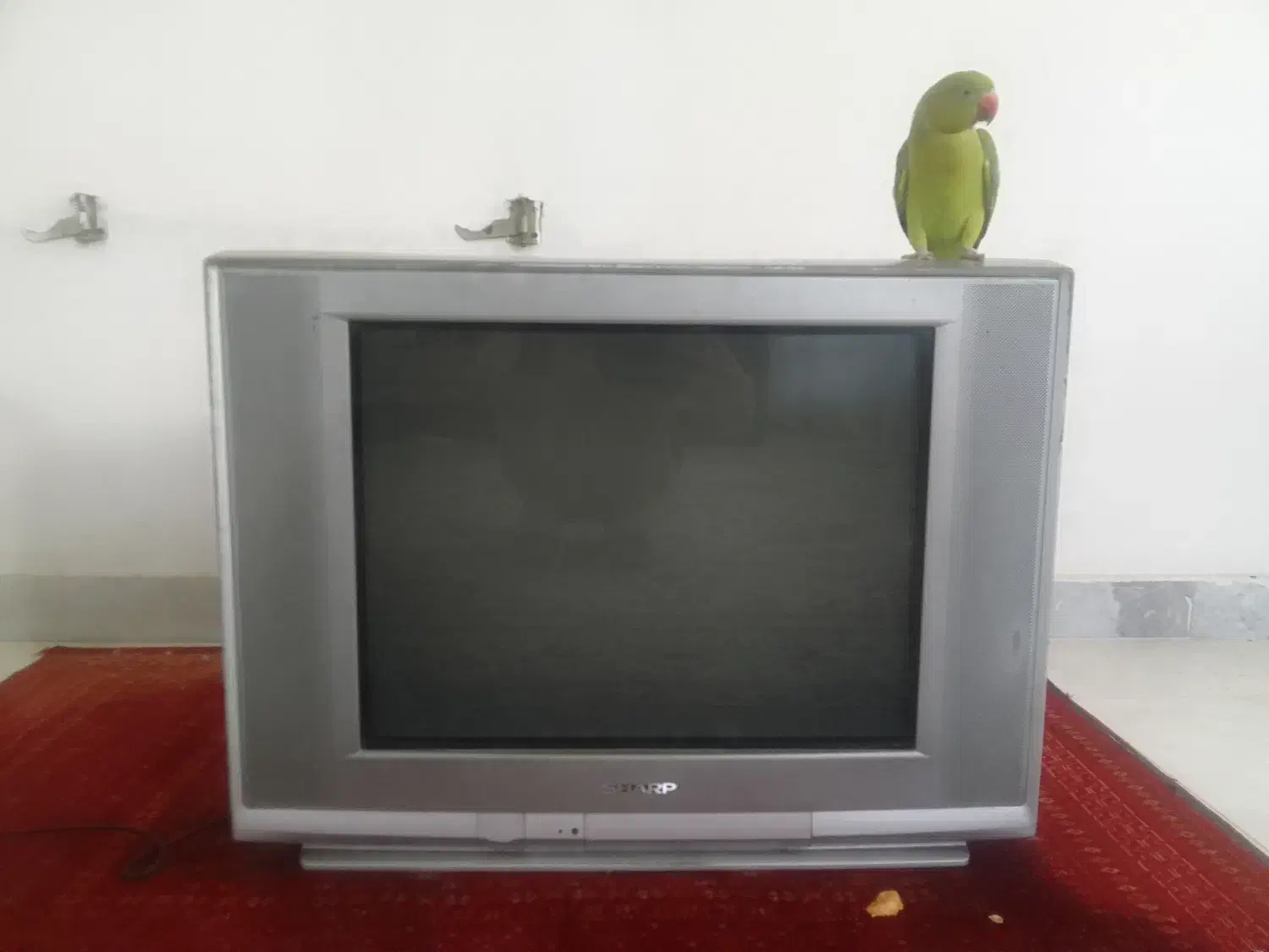 تلویزیون شارپ قدیمی sharp|تلویزیون و پروژکتور|بابل, |دیوار