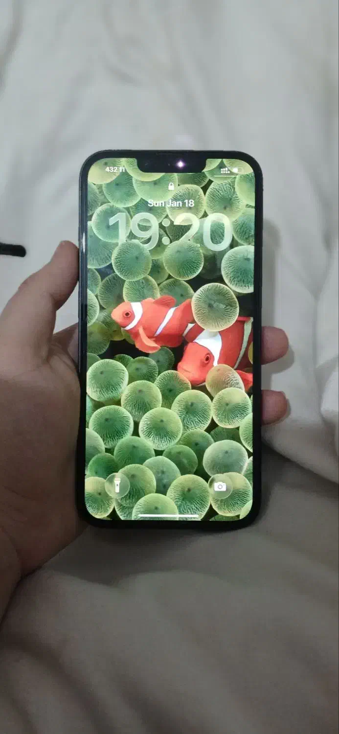 آیفون 14 نرمال|موبایل|آزادشهر, |دیوار