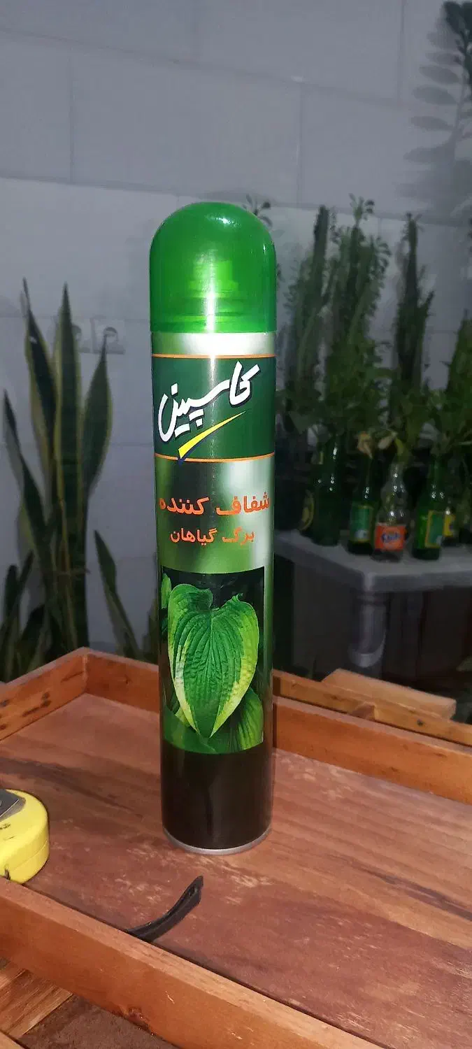 اسپری براق کننده گل آپارتمانی کاسپین|گل و گیاه طبیعی|مینودشت, |دیوار