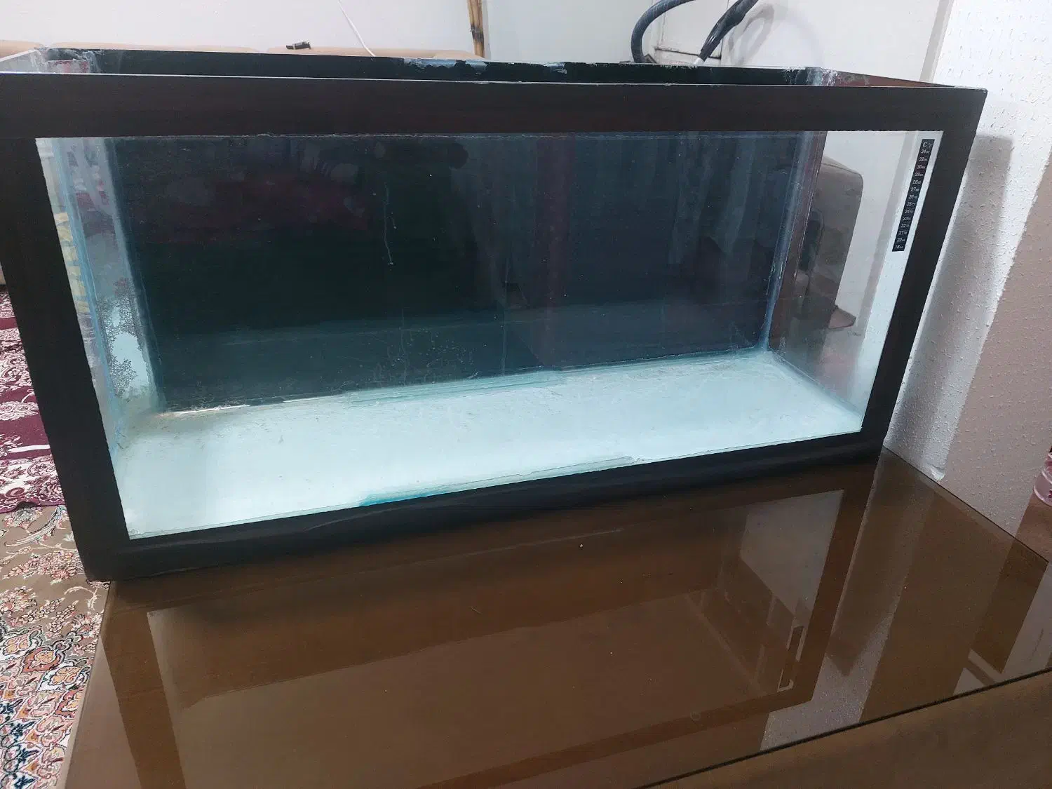 اکواریوم سالم|ماهی|قم, شهرک امام حسن|دیوار