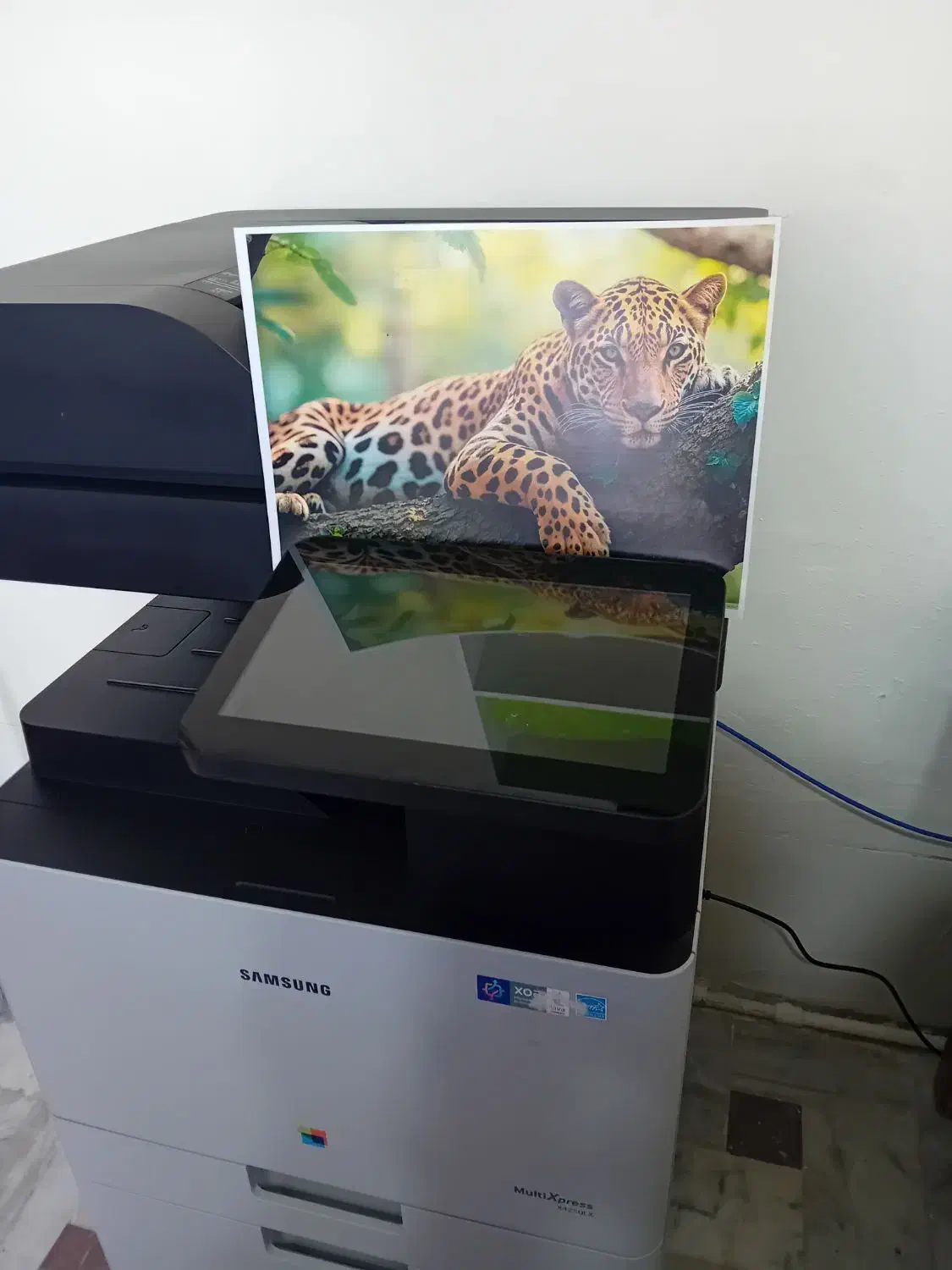 دستگاه کپی رنگی و سیاه سفید|پرینتر، اسکنر، کپی، فکس|اراک, |دیوار