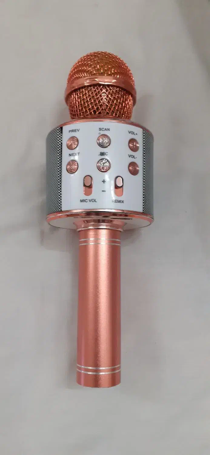 میکروفن|سیستم صوتی خانگی|قم, دروازه چوبی|دیوار