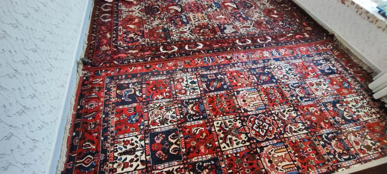 فری دستباف|فرش|فولادشهر, مدیسه|دیوار