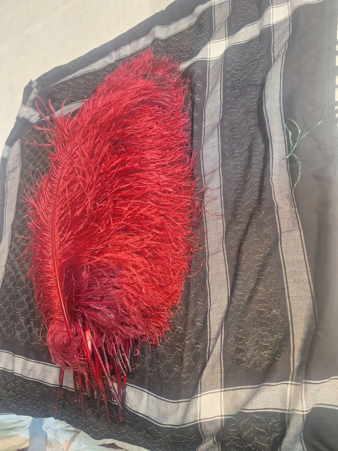 پر علم یا همون علامت|کلکسیون اشیاء عتیقه|مشهد, طبرسی شمالی|دیوار