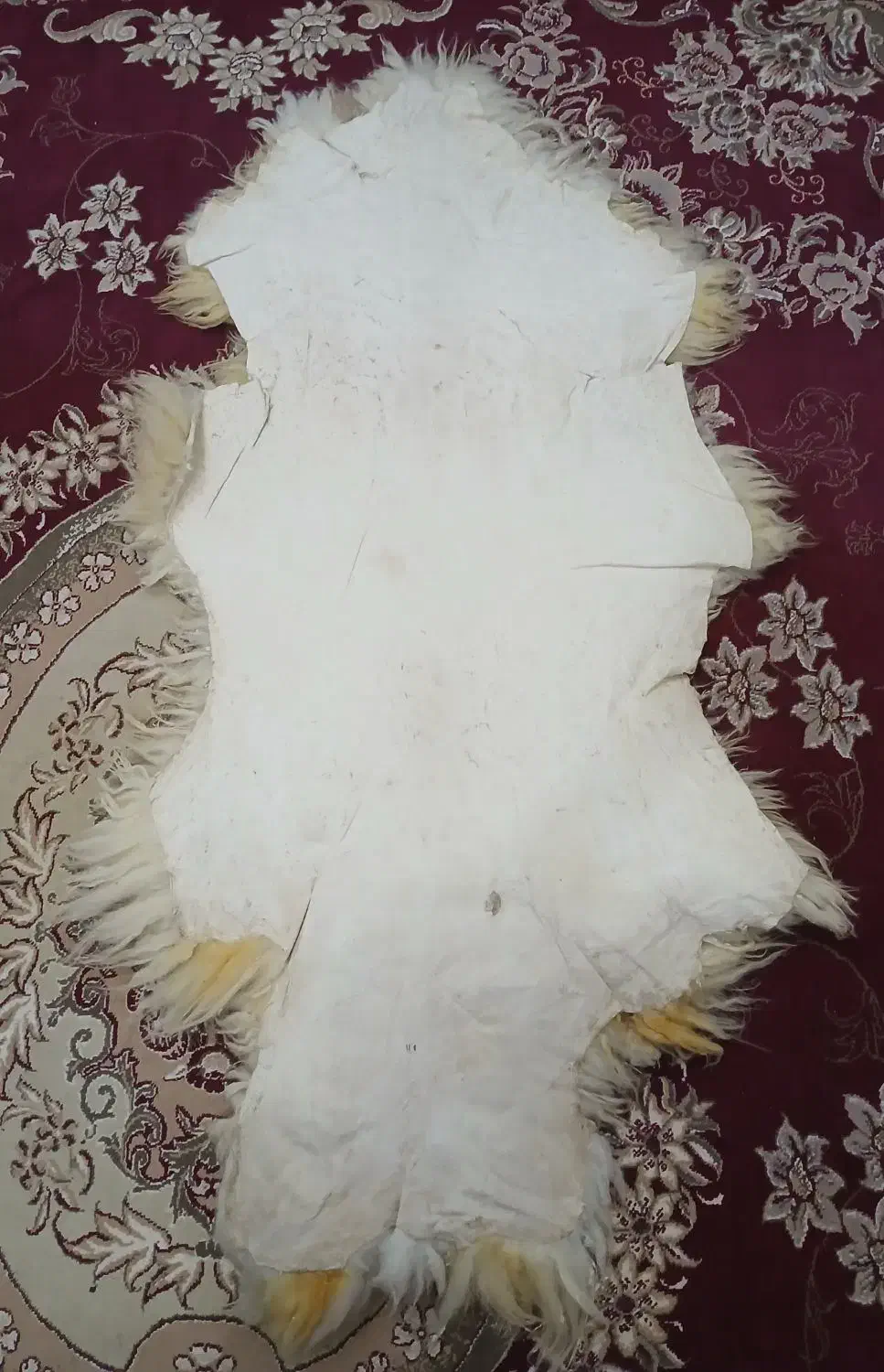 پوست بَره درست شده و نرم|فرش|اندیمشک, |دیوار