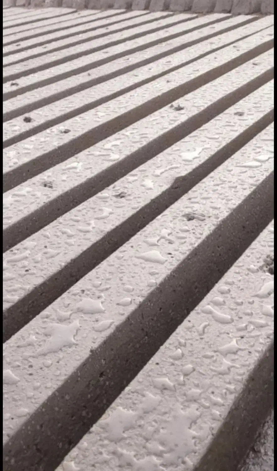 پایه بتنی 98تمن باضمانت نامه همراه بار|عمدهفروشی|تربتحیدریه, رضاشهر|دیوار