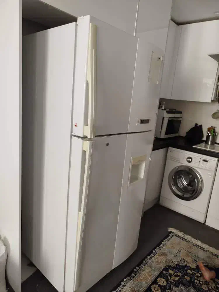 یخچال فریزر دوو اصلی|یخچال و فریزر|شاهین‌شهر, شهرک منازل چوبی|دیوار