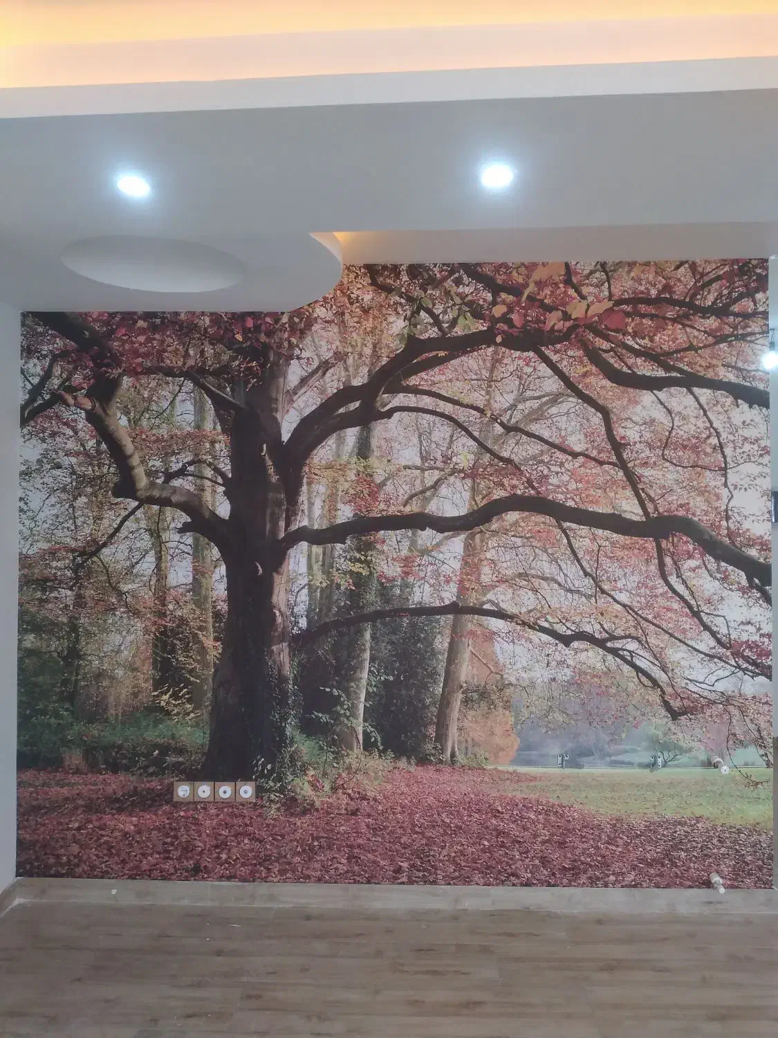 نصاب ونصب پوستر و کاغذدیواری|خدمات پیشه و مهارت|رشت, حسین آباد|دیوار