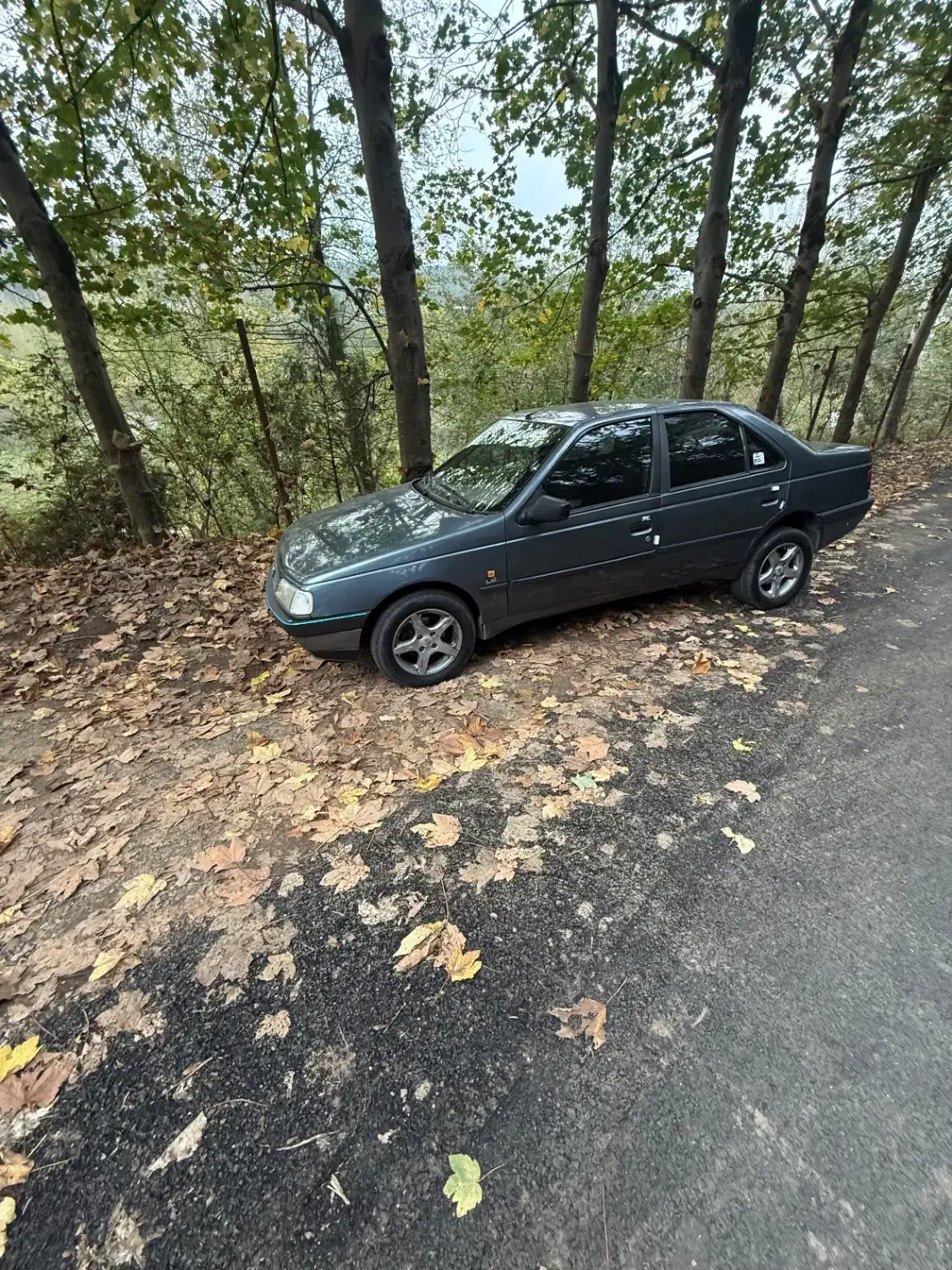 پژو۴۰۵مدل۹۳|خودرو سواری و وانت|سنقر, |دیوار