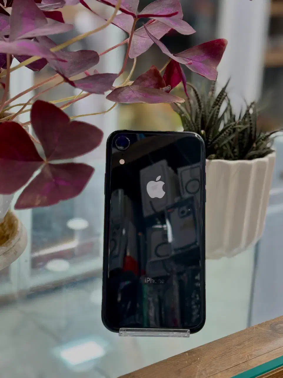 آیفون XR|موبایل|شیراز, زند|دیوار