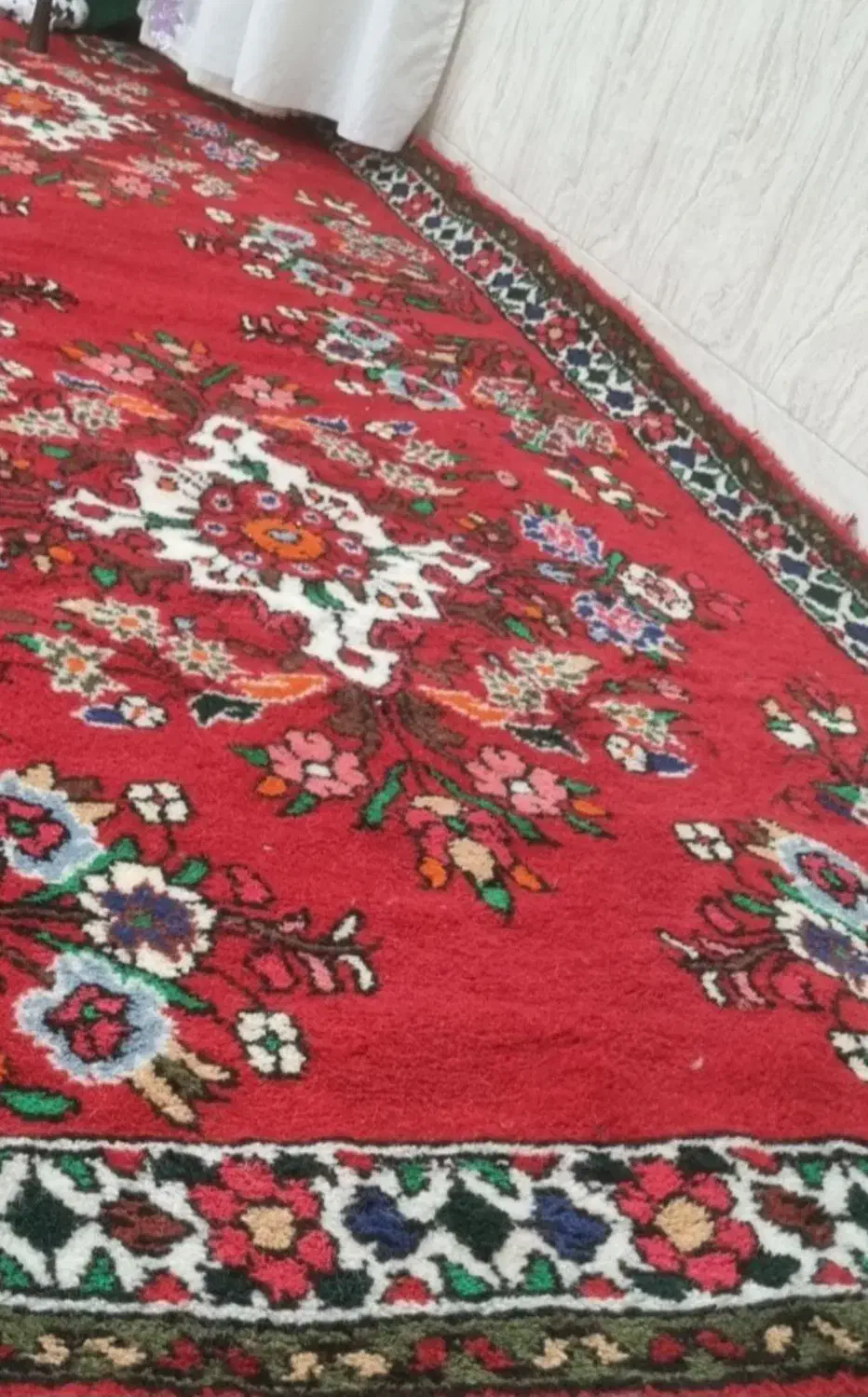 قالی دستبافت سنتی عتیقه|کلکسیون اشیاء عتیقه|قم, پاسدار|دیوار