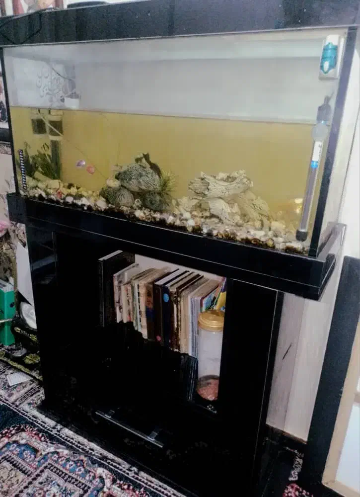 آکواریم|ماهی|اندیشه, اندیشه فاز ۱|دیوار