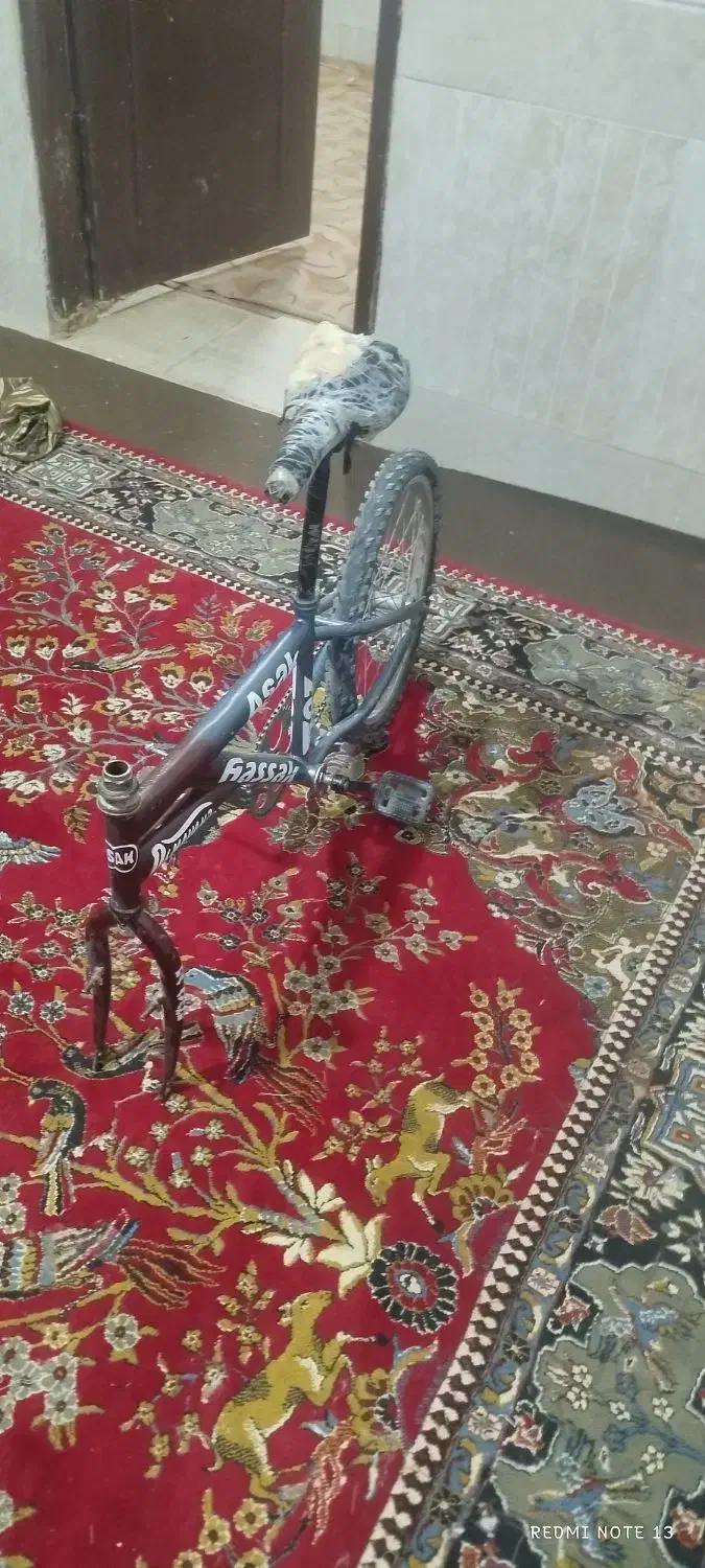 دوچرخه 20 به روش میرسد|دوچرخه، اسکیت، اسکوتر|کرباسک, |دیوار