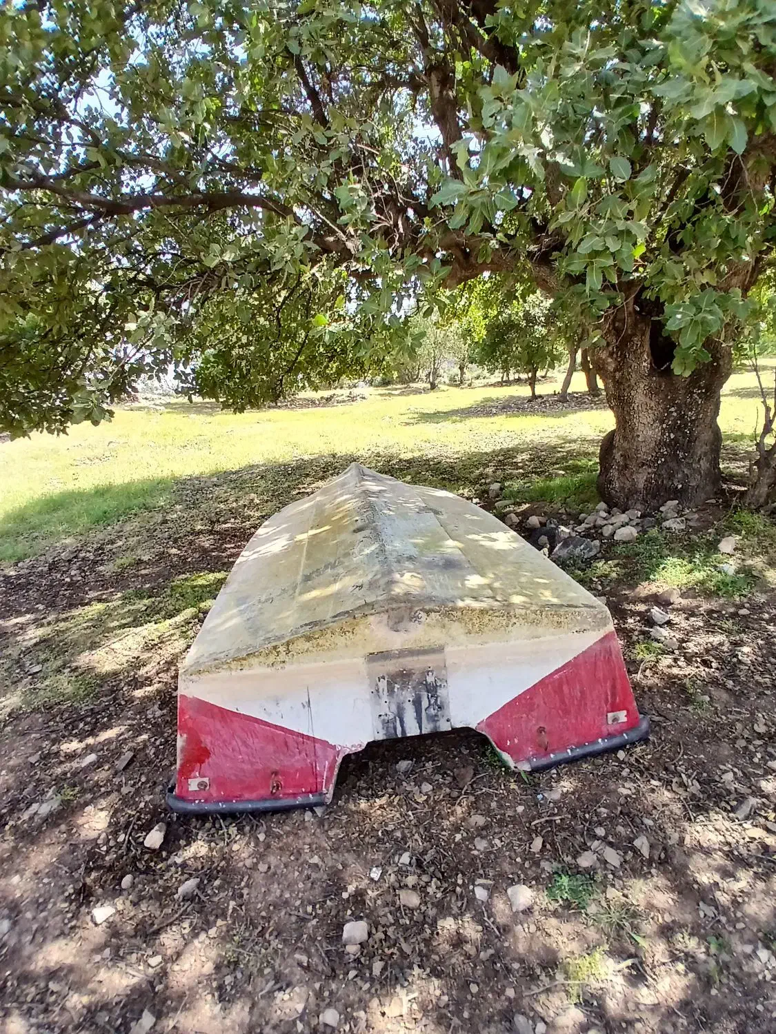 قایق ۱۷ فوت|قایق و سایر وسایل نقلیه|دزپارت, |دیوار