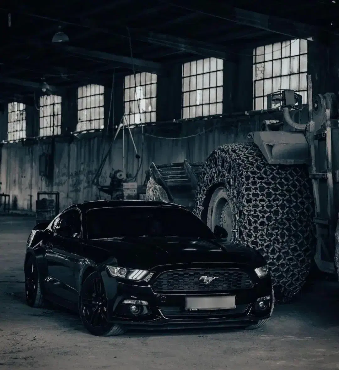 اجاره موستانگ/اجاره ماشین عروس/کرایه ماشین عروس|خودرو اجاره‌ای|اصفهان, باغ زیار|دیوار