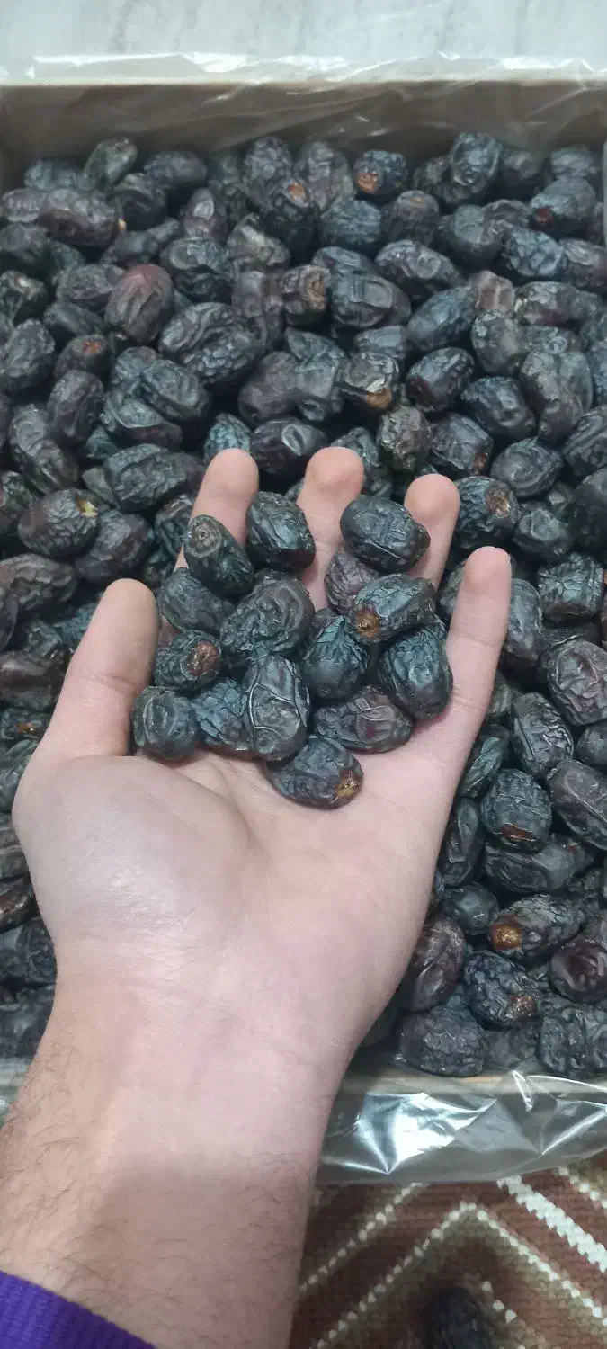 خرمای خنیضی|خوردنی و آشامیدنی|تهران, سلسبیل شمالی|دیوار