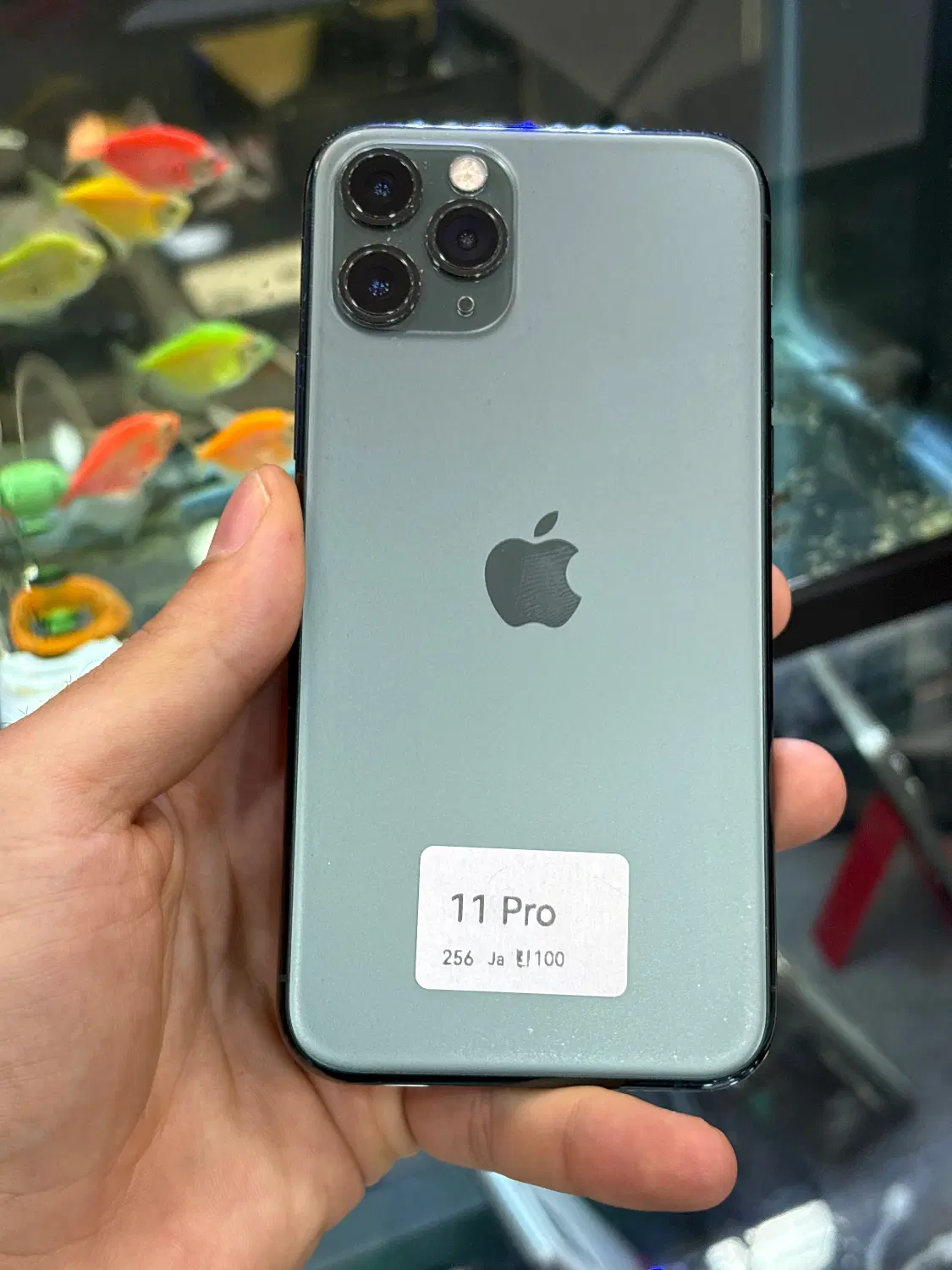 11pro256|موبایل|شیراز, زند|دیوار