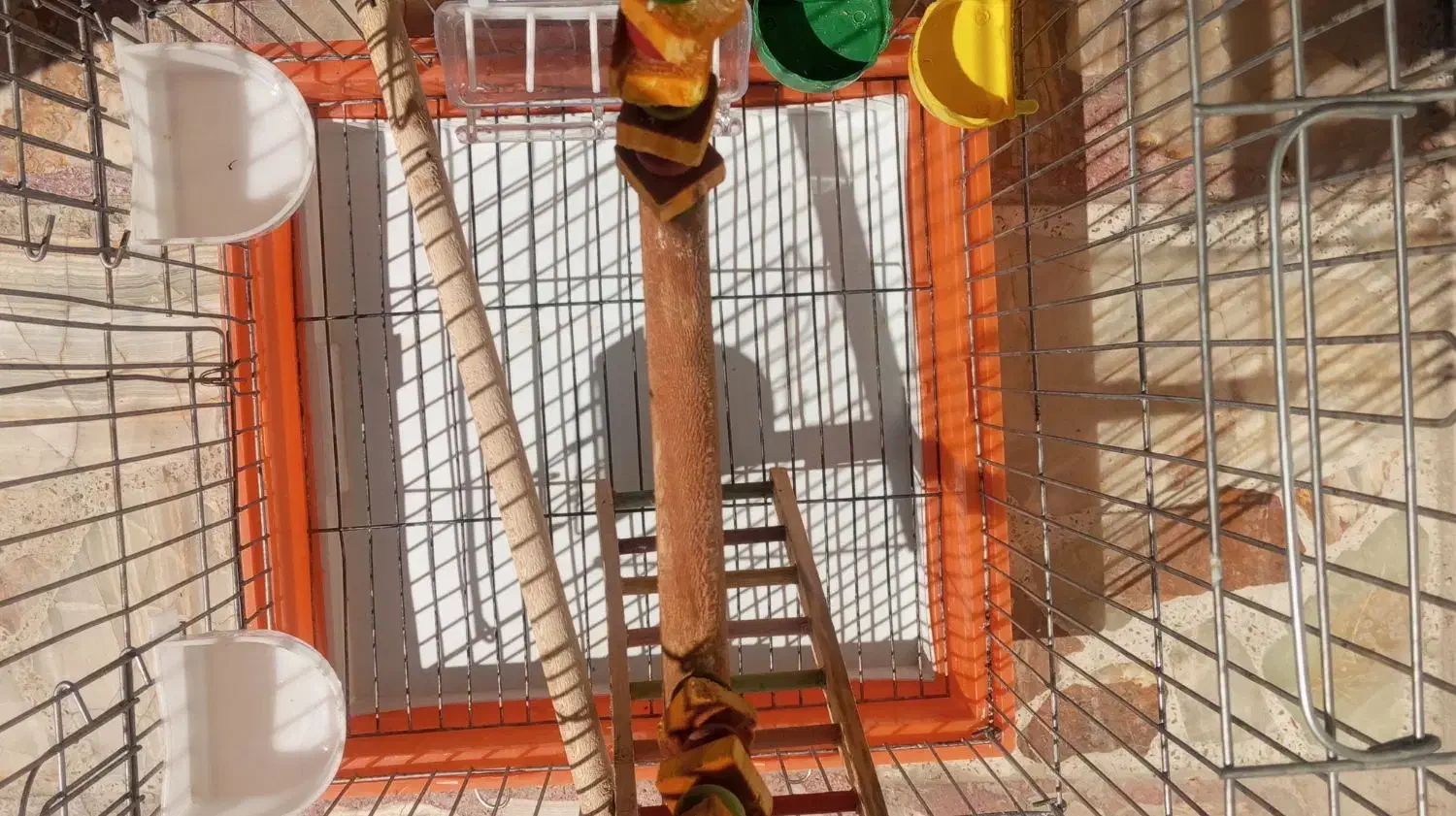 قفس بزرگ عروس هلندی و کاسکو|لوازم جانبی حیوانات|شیراز, کیان شهر|دیوار