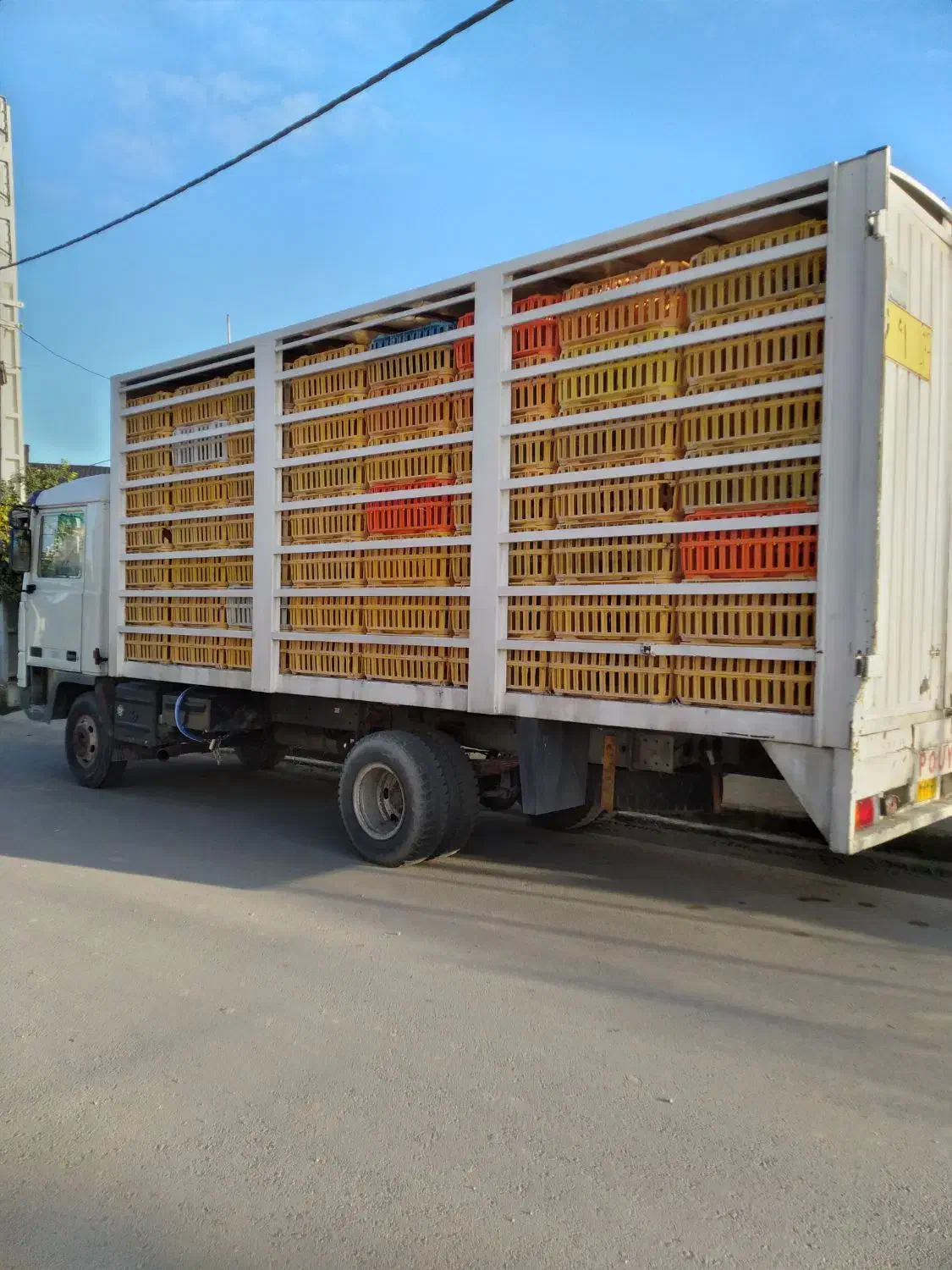 بادسان ۸ تن مدل ۸۳ بدون رنگ اتاق مرغی|خودرو سنگین|سرخرود, |دیوار