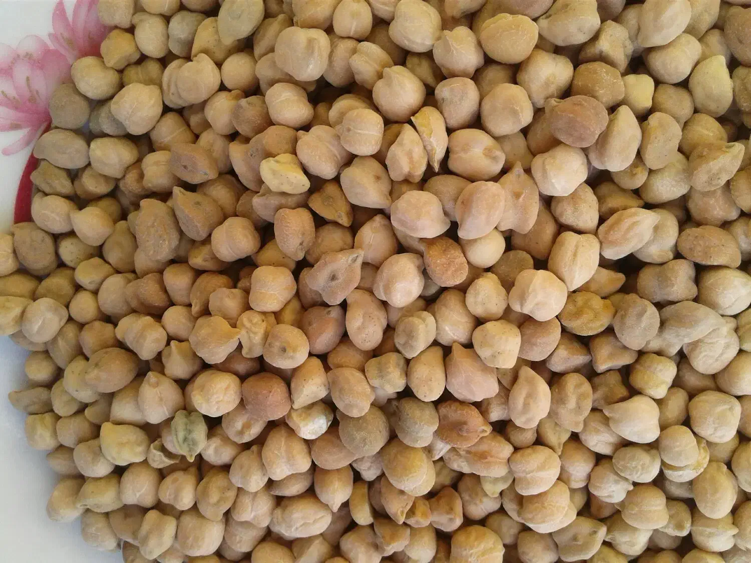 عدس ماش نخودمخلی|خوردنی و آشامیدنی|اردل, |دیوار