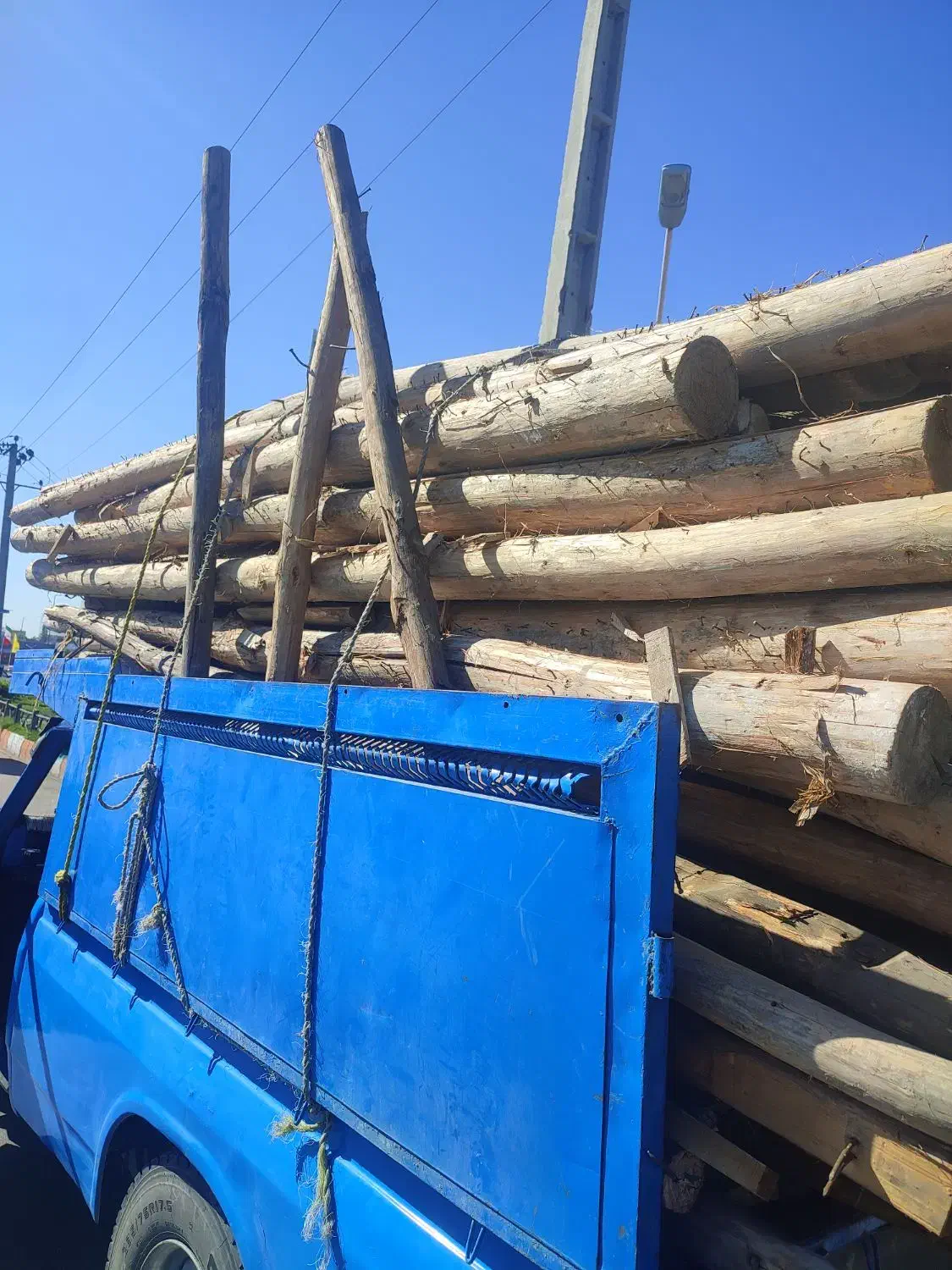 تخریب خانه و ساختمان خرید چوب خشک و تر نال حمل بار|خدمات پیشه و مهارت|پارس‌آباد, |دیوار