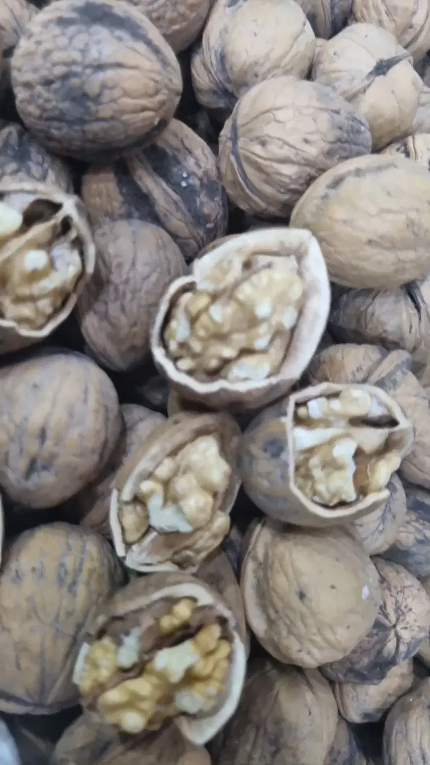 گردو درجه یک پوست کاغذی|خوردنی و آشامیدنی|شیراز, درکی|دیوار