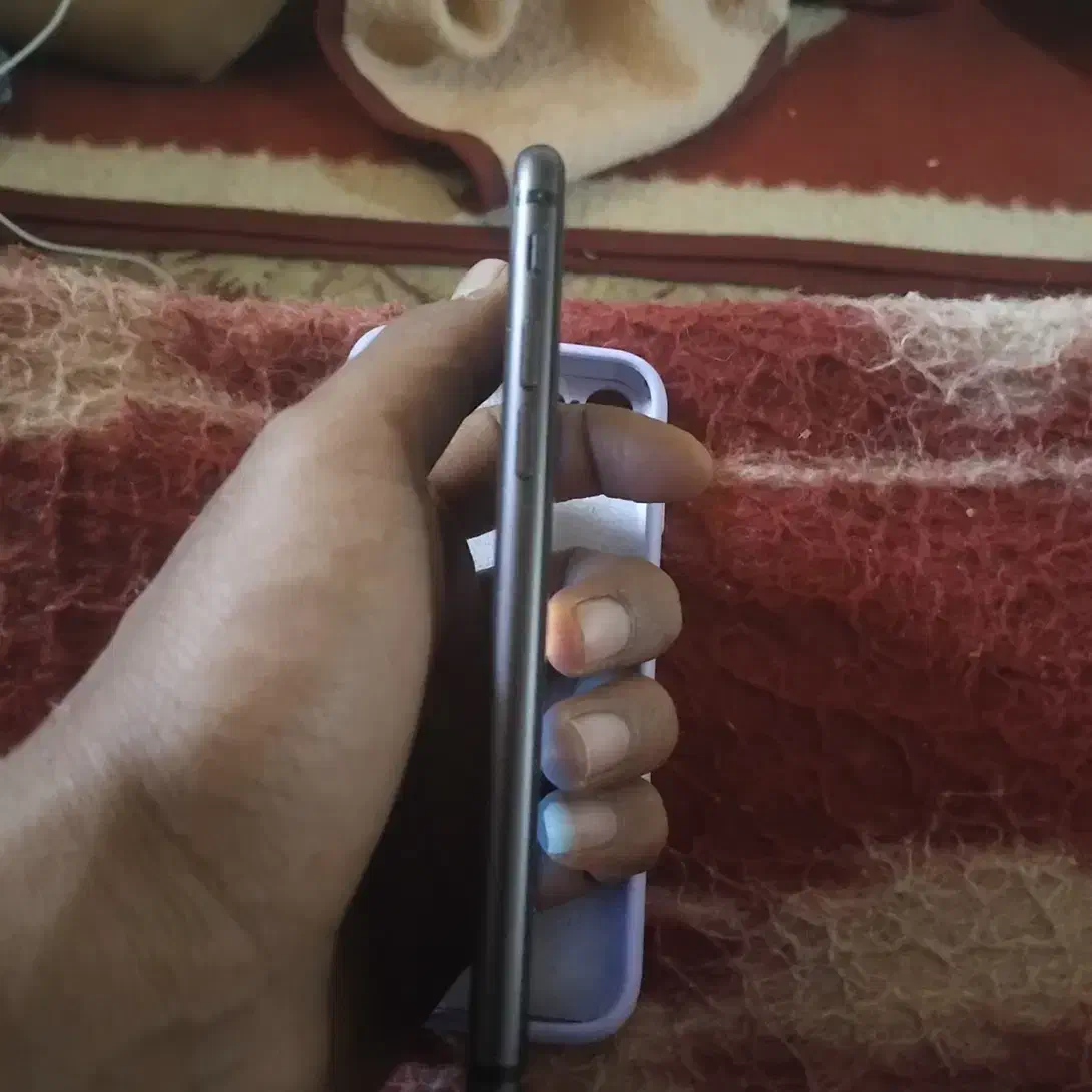 گوشی آیفون 8معمولی|موبایل|اهواز, آسیاباد|دیوار