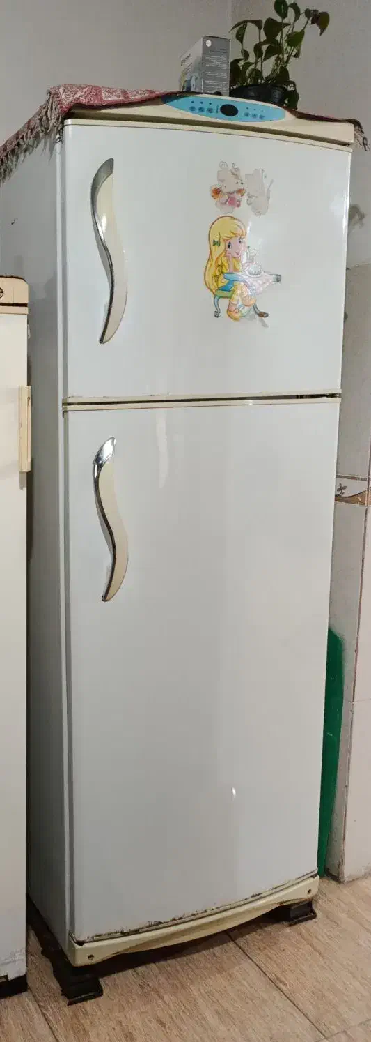 یخچال و فریزر|یخچال و فریزر|رشت, کوی حسینی|دیوار