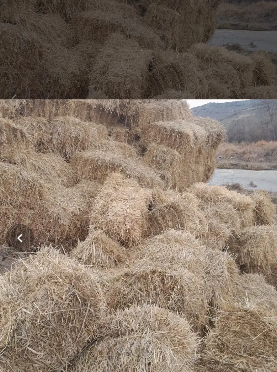 کاه گندم|عمده‌فروشی|اردبیل, |دیوار