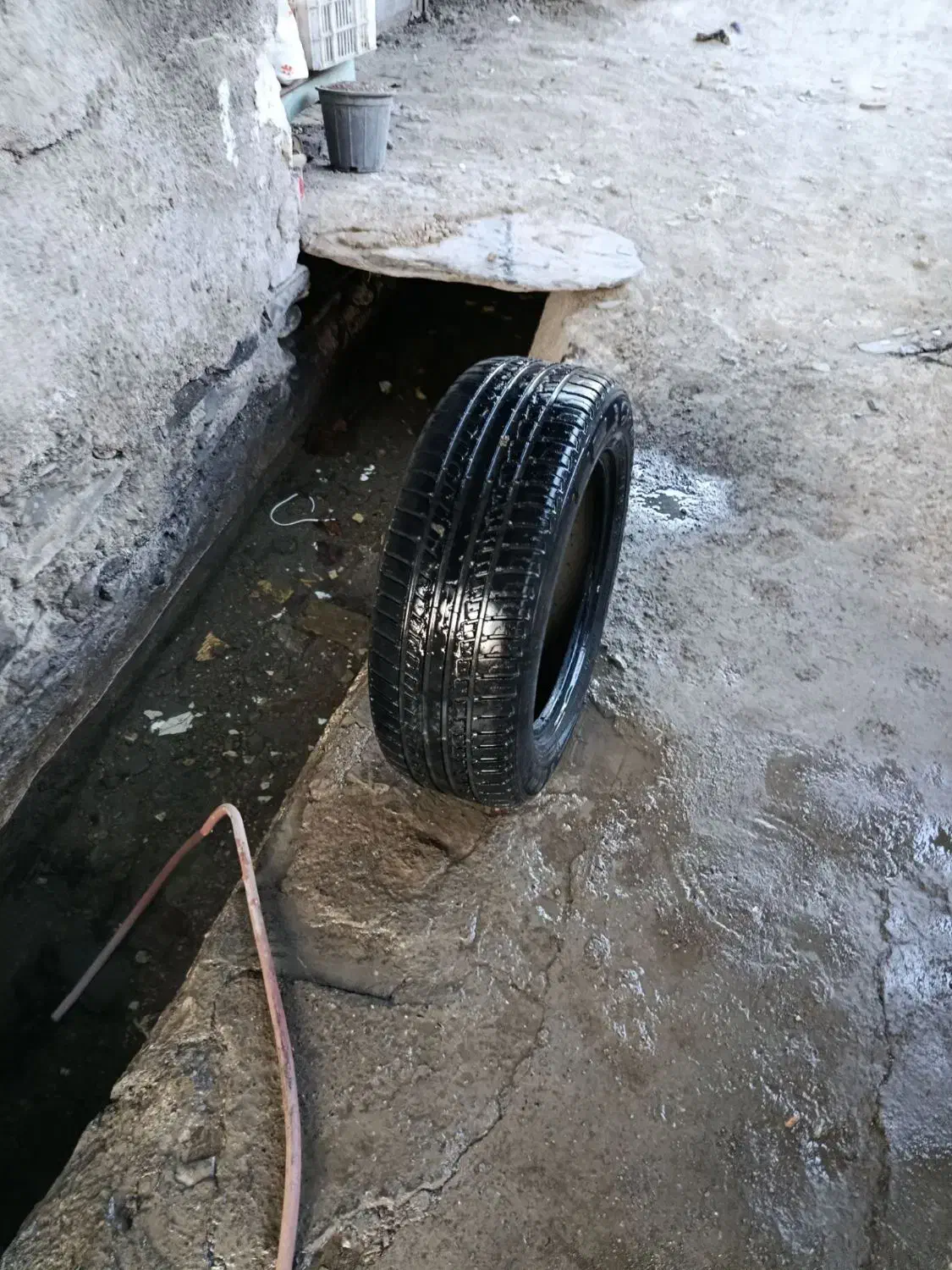 لاستیک سمند|قطعات یدکی و لوازم جانبی|شاندیز, |دیوار