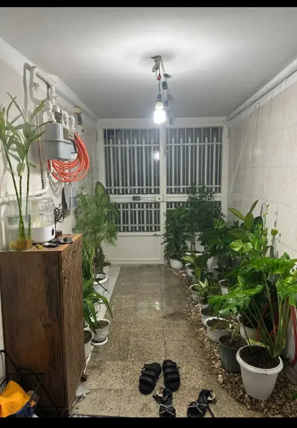 گل و گیاه طبیعی|گل و گیاه طبیعی|قم, امامزاده ابراهیم|دیوار