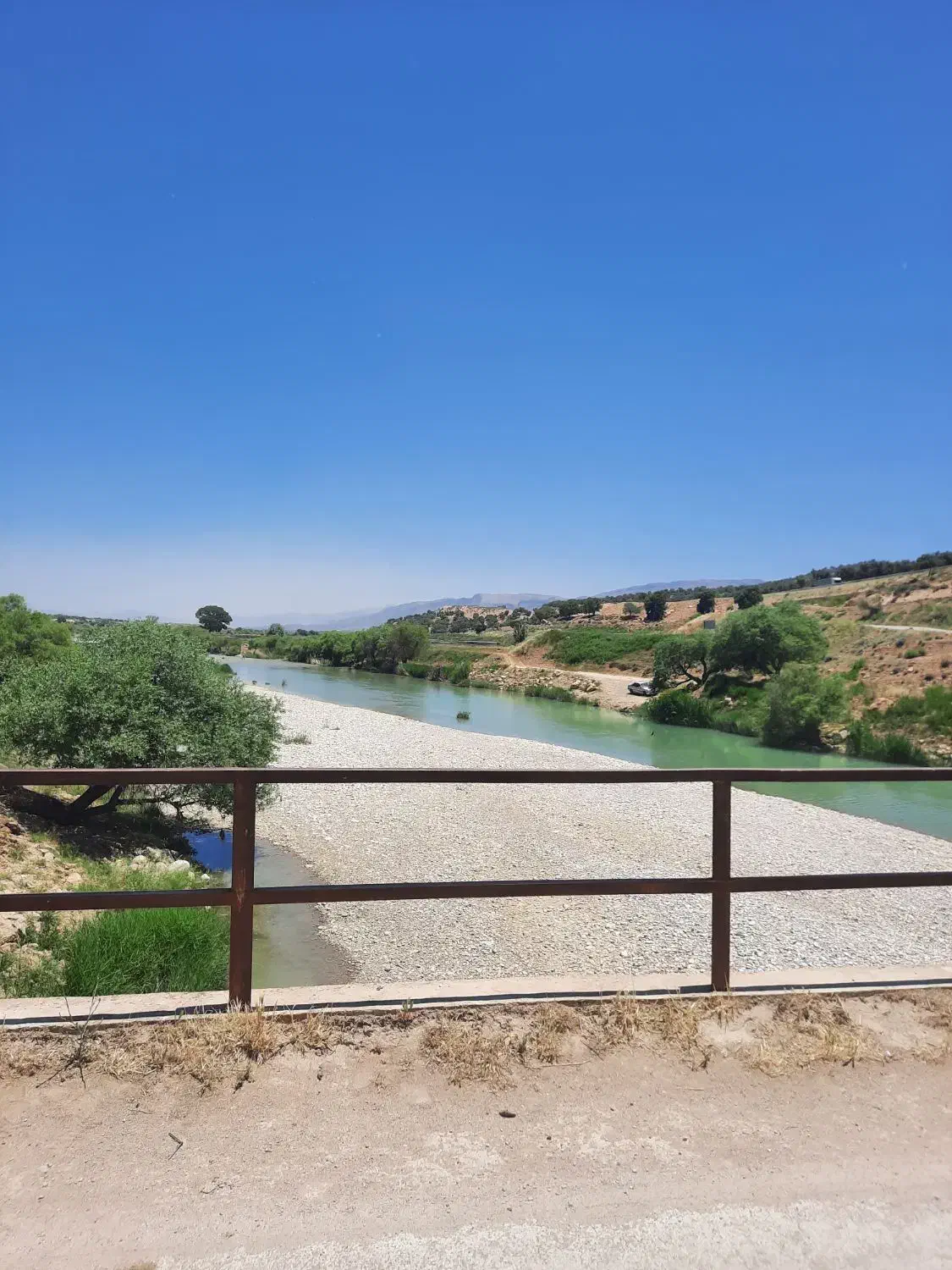 سوال|فعالیت داوطلبانه تحقیقاتی|یزد, |دیوار