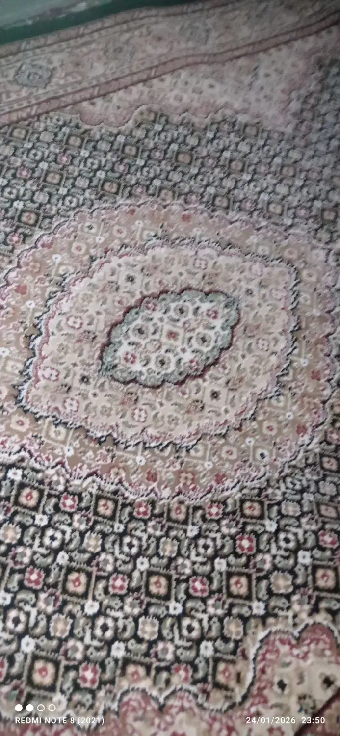 فرش ماشینی مرینوس|فرش|تبریز, |دیوار