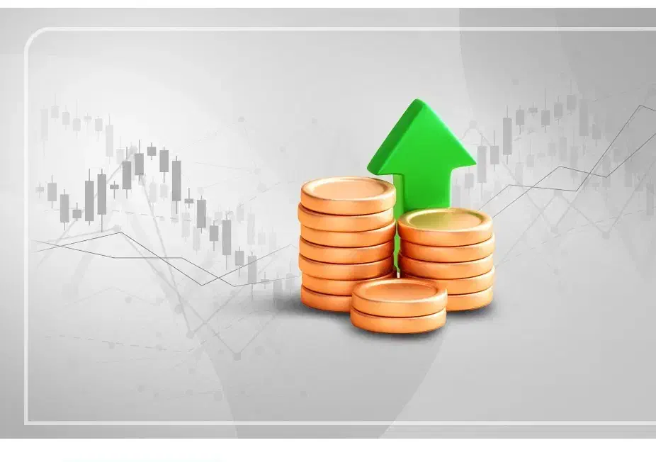 سرمایه پذیری|استخدام مالی، حسابداری، حقوقی|یزد, |دیوار