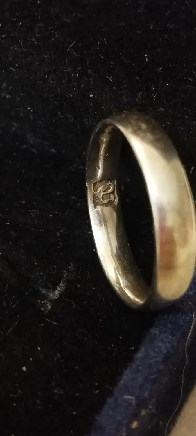 حلقه نقره|بدلیجات|تهران, باغ فیض|دیوار