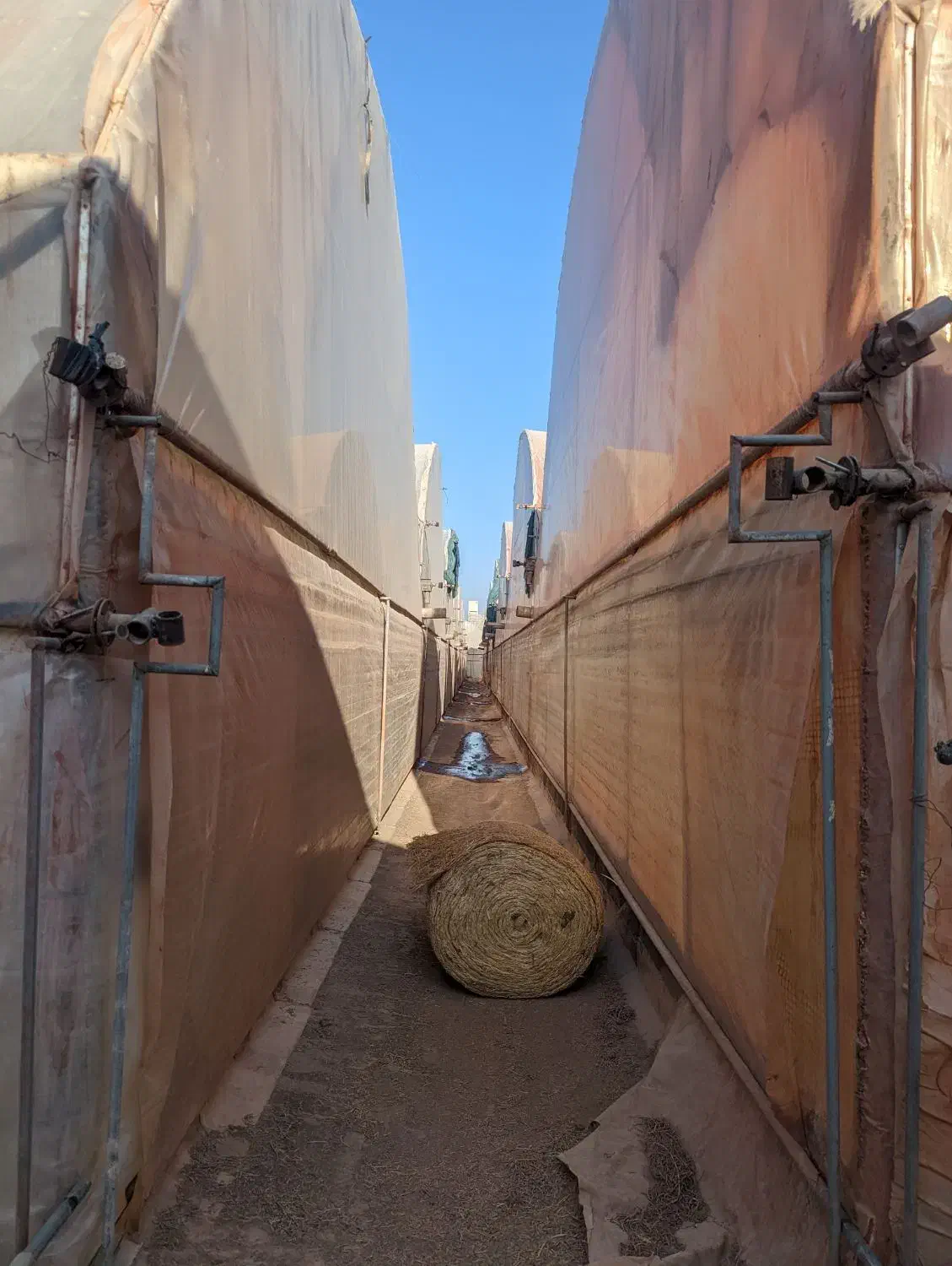 زمین و گلخانه|فروش دفتر صنعتی، کشاورزی، تجاری|پاکدشت, پاکدشت (مامازند)|دیوار