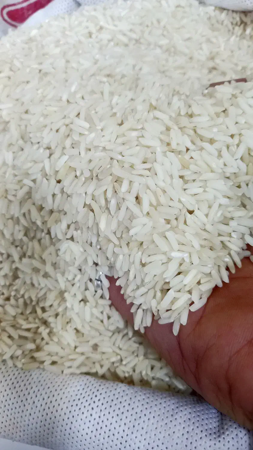 برنج پاکستانی سوپر باسماتی|خوردنی و آشامیدنی|اصفهان, ابر|دیوار