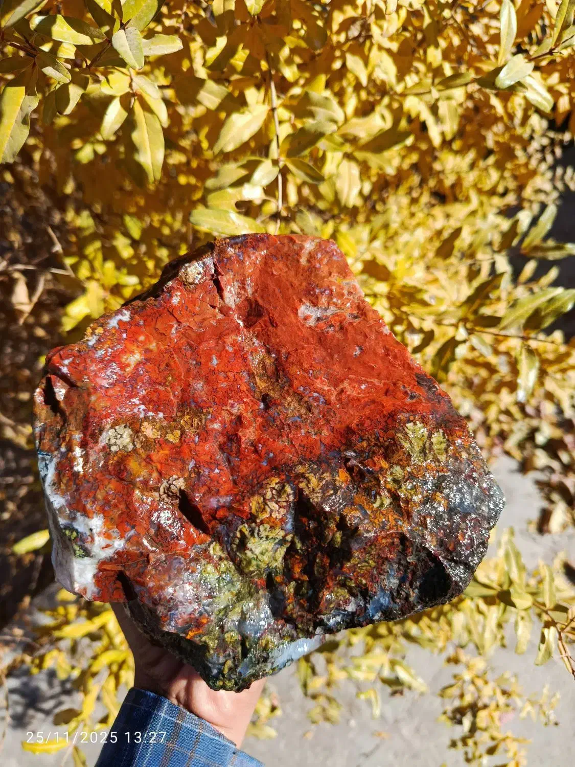 شجر گل اناری|صنایع دستی و سایر لوازم تزئینی|سرایان, |دیوار