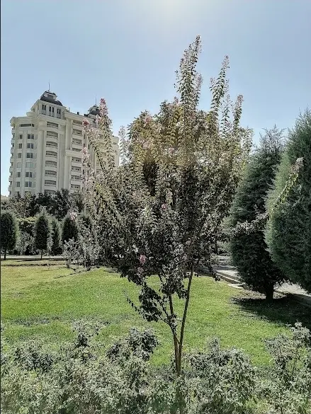 اجاره واحد لوکس در جهانشهر و برج - تصویر 1 از 1